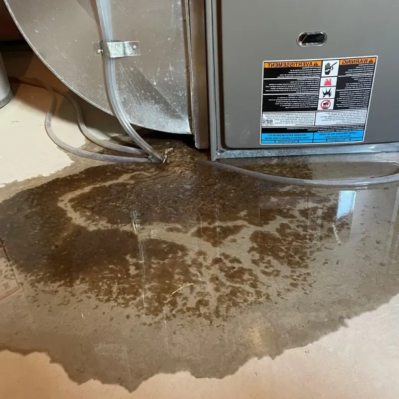 Pipe Burst and Leak Restoration in Jerauld County, SD