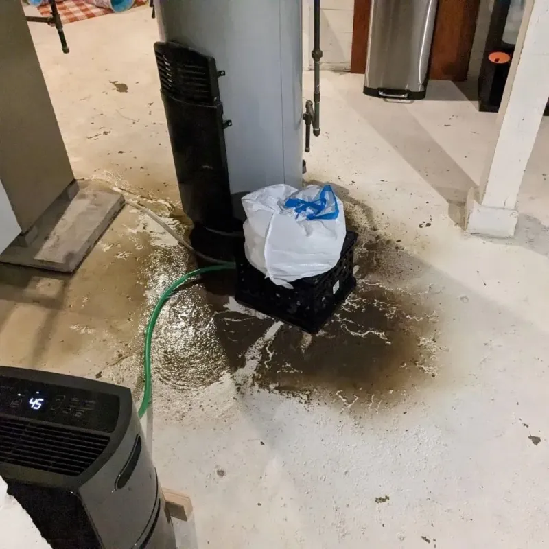 Sewage Backup Cleanup Service in Jerauld County, SD
